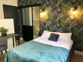 DUPLEX COSY HYPER CENTRE CHOLET